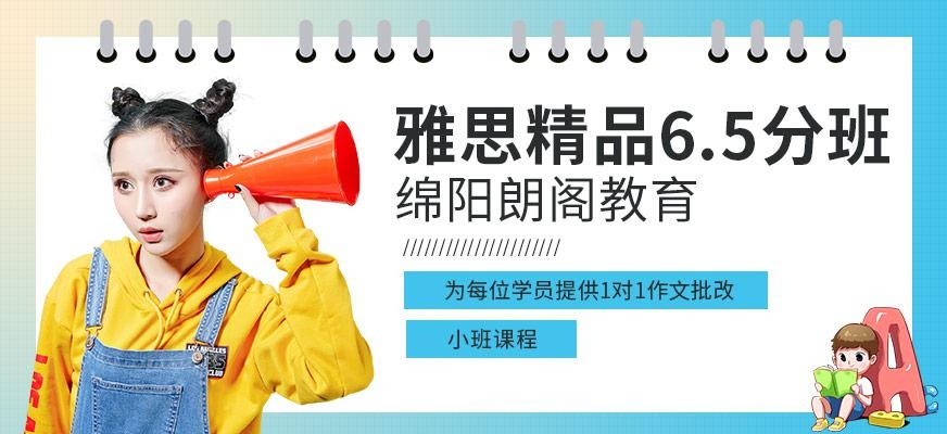 雅思精品6.5分班