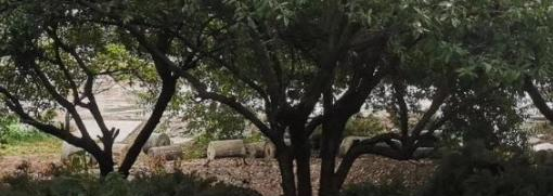 2023年无极野风美术职业中学地址在哪里