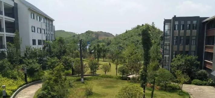 清镇博雅国际实验学校