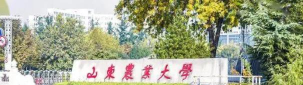 山东农业大学是几本大学？是一本吗