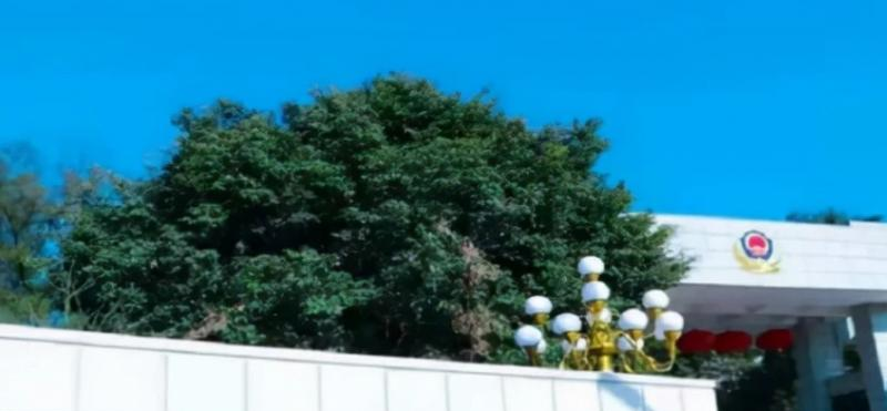 广东警官学院什么专业好，广东警官学院专业排名