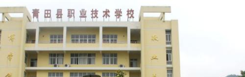 青田职业技术学校