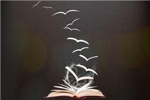 华北电力大学在职研究生考试报考条件是什么