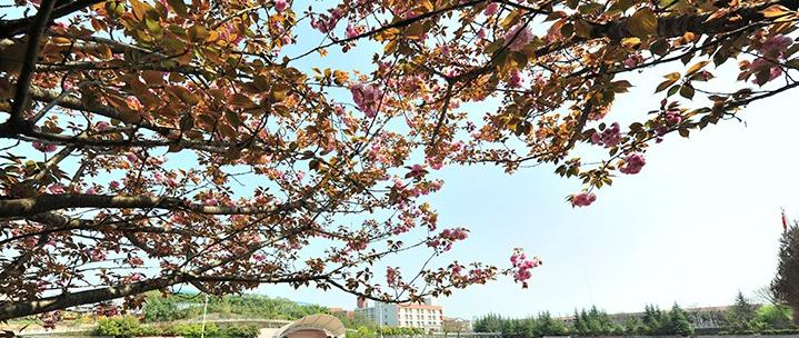 华宁县职业高级中学2022招生录取分数线