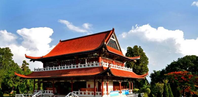 截图_20211116125530