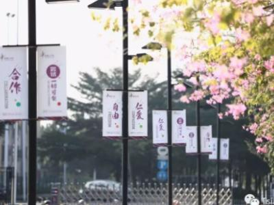 清澜山学校