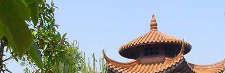 义乌工商职业技术学院2019年单招录取分数线