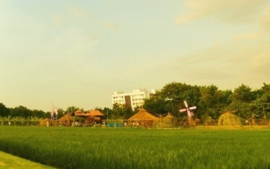 農(nóng)業(yè)大學(xué)