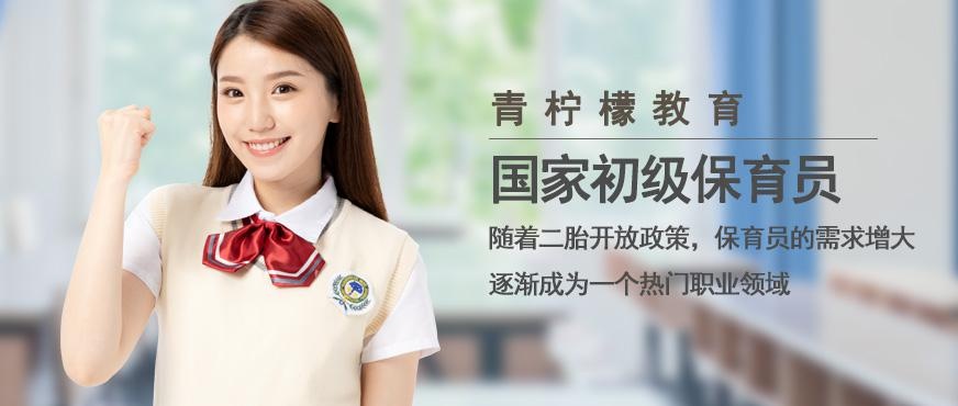 国家初级保育员