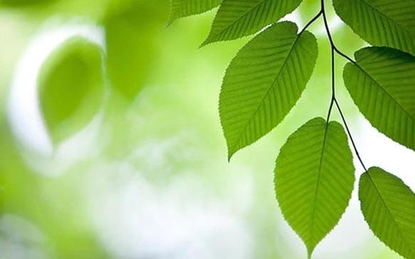 雅思口语题怎么回答