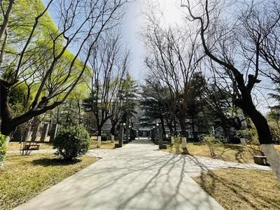 北外留学基地留学预科