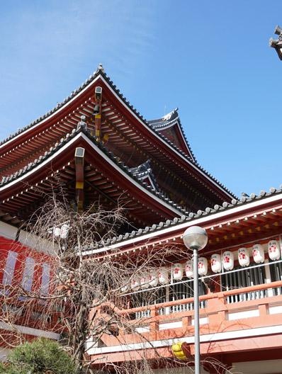 课程学习情况与优势