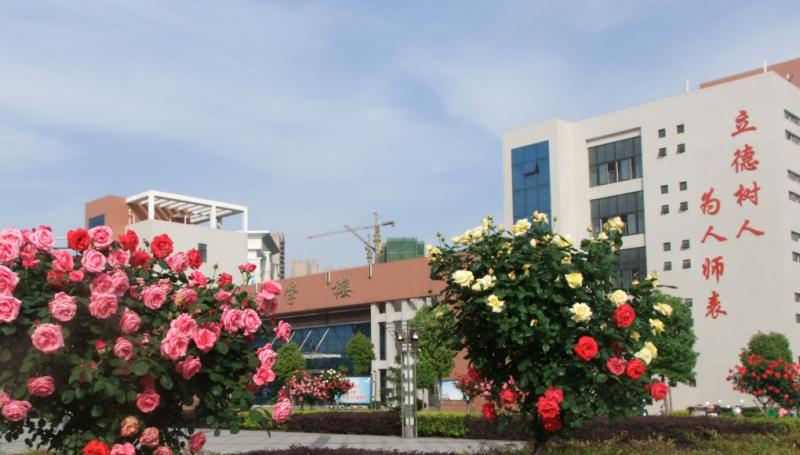 南阳幼儿师范学校地址在哪里