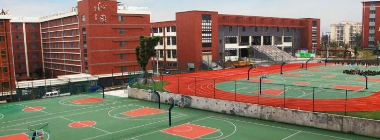 绵阳东辰国际学校高中部