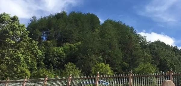 开化县职业教育中心