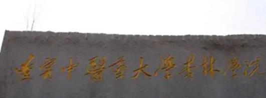 辽宁中医药大学杏林学院在哪?(辽宁中医药大学杏林学院院详细地址)