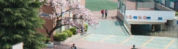 安顺第三高级中学地址在哪里