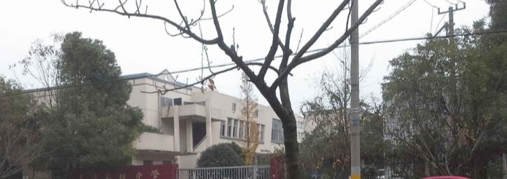 江苏高淳高级中学2021年招生简章