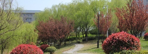 应天职业技术学院怎么样、好不好