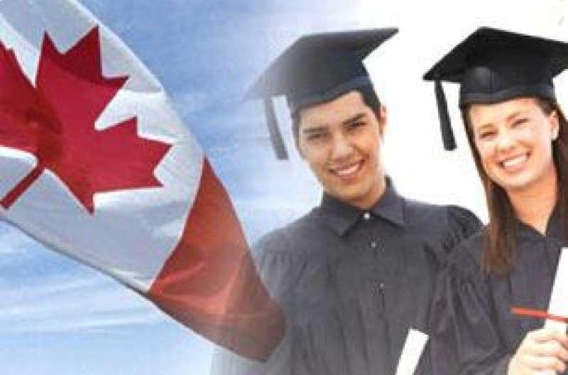 北京外国语大学中加国际班