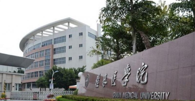 桂林医学院全国排名一览表