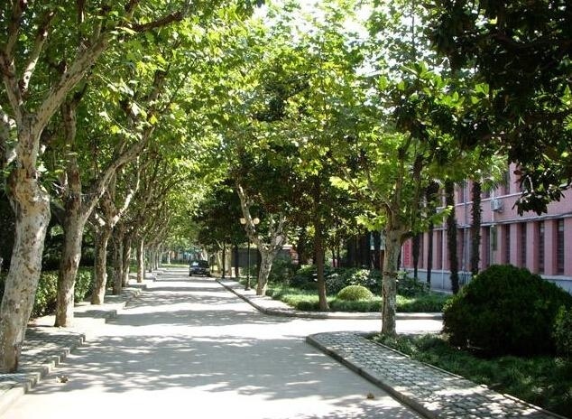 校园风采8