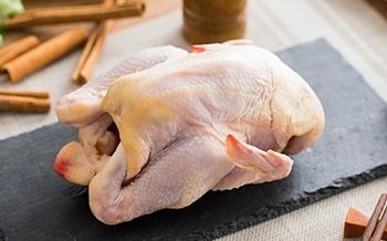 原料配料、设备的认识