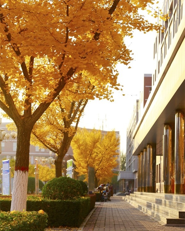 山西商务学校招生办