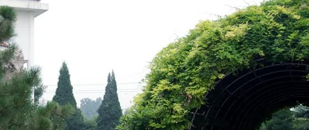 北京澳际国际学校2023年学费标准