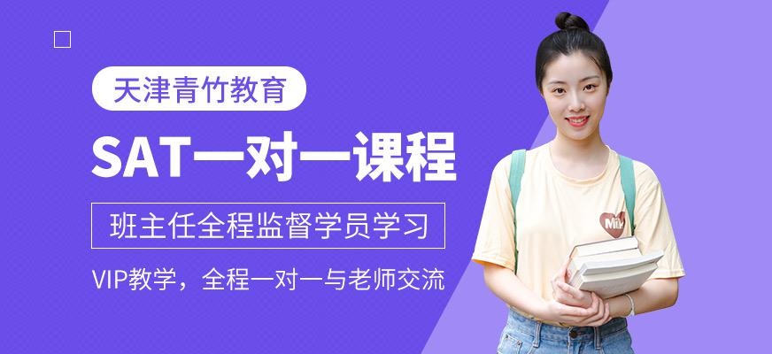 SAT一对一课程