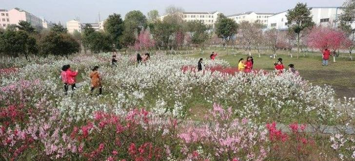 截图20200422151701