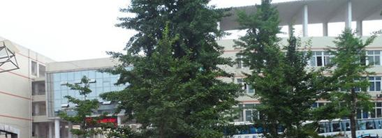 重庆安全技术职业学院五年制大专