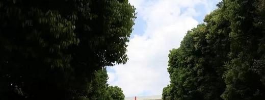 截图_20211116125650