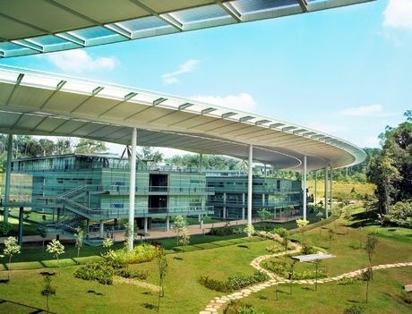 国油大学