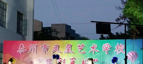 泰州市凤凰艺术学校网站
