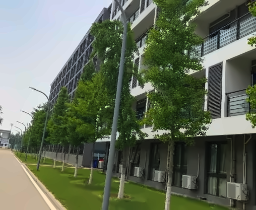 外交学院国际教育合作项目出国留学