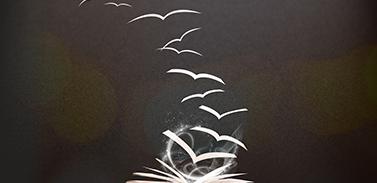 课程有哪些内容?