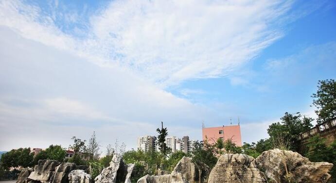 重庆安全技术职业学院2020年招生办