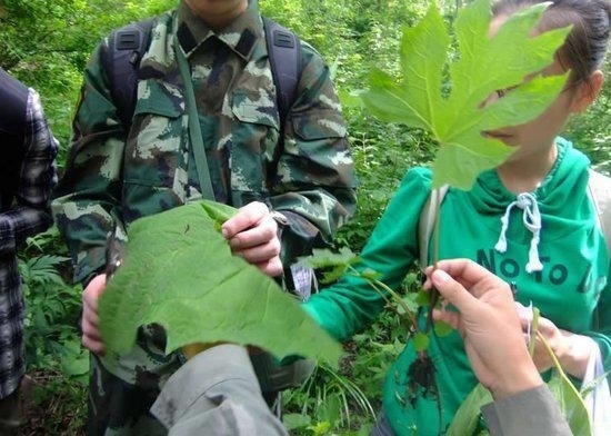 北京林业大学研究生实习