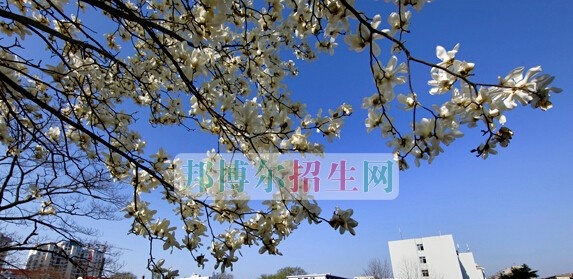 山东省青岛卫生学校