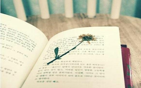 俄语赞美怎么说