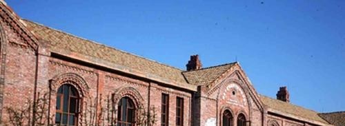 四川国际标榜职业学院五年制大专2021年招生录取分数线