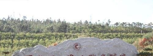 云南国土资源职业学院单招报名条件