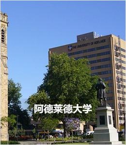 阿德莱德大学
