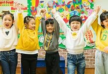 综合运用