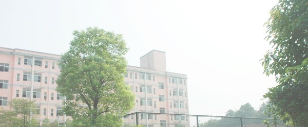湖南电子科技职业学院单招