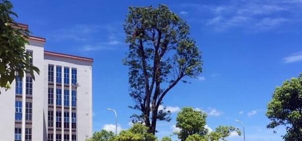 江西洪州职业学院