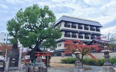 优质的合作院校资源