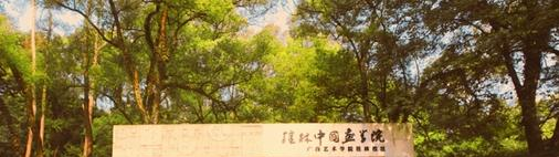 广西艺术学校