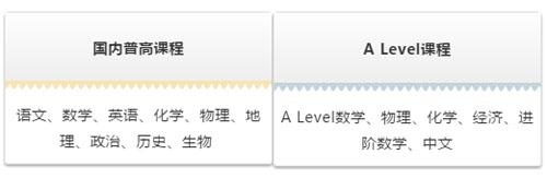 A Level融合课程